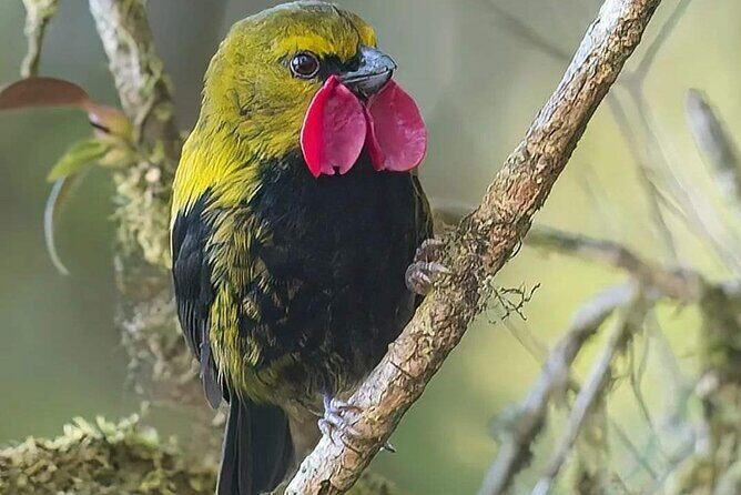 Private Port Moresby City Tour - Who Will Love This Tour?