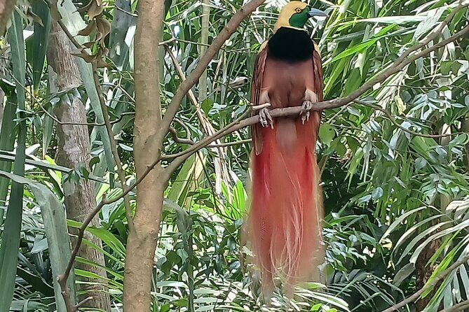 Private Port Moresby City Tour - Final Thoughts