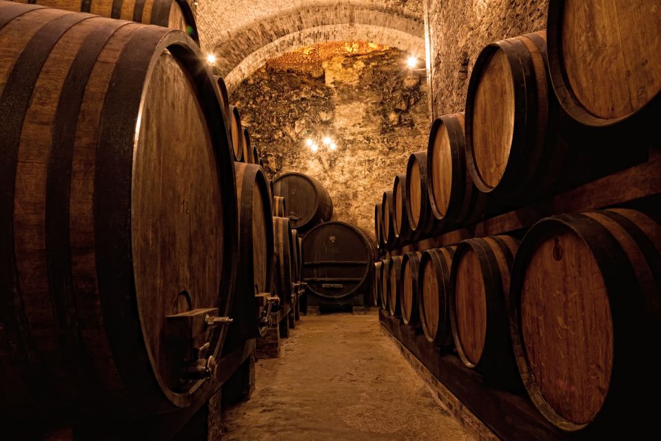 Private Porto Half-Day Tour - Wine Cellars & Cheese Tasting - Cheese Tasting