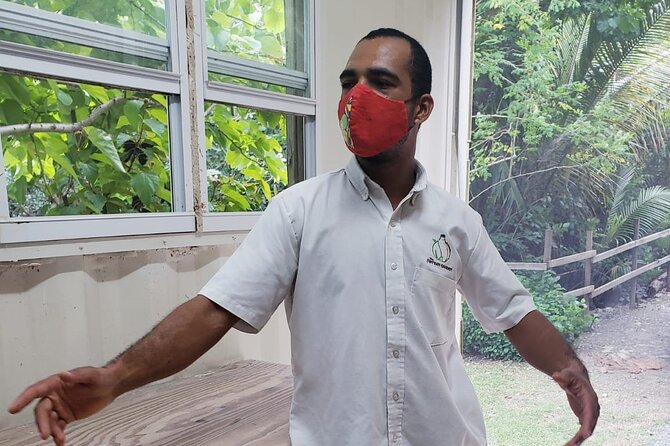 Private Pottery Experience at British Virgin Islands - How to Reserve Your Spot