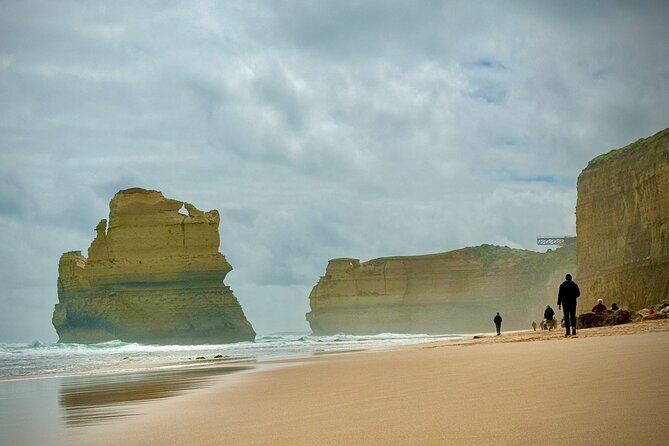 Private Premium Great Ocean Road with Lunch & Wildlife spotting - What Travelers Say