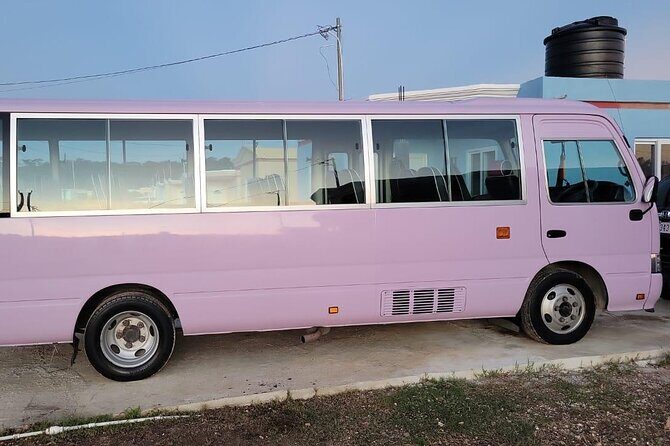 PRIVATE Princess Grand Resort Airport Transfer from Montego Bay - Who Will Benefit Most?  