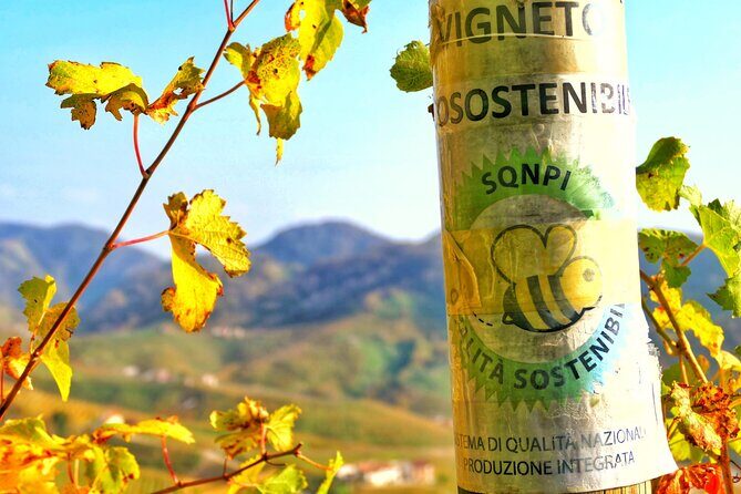 Private Prosecco Tour, with a certified Sommelier - Who This Tour Suits Best