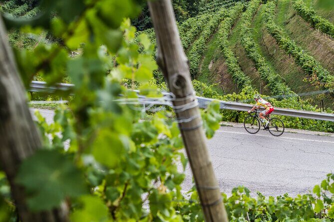 Private Prosecco Tour, with a certified Sommelier - Frequently Asked Questions