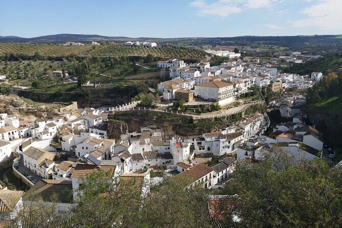 Private Pueblos Blancos and Ronda - Exploring the Pueblos Blancos and Ronda: A Practical Guide to an Unforgettable Day