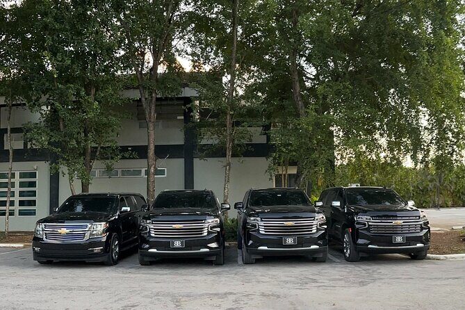 Private Punta Cana Airport Transfers Hotels in Dominican Republic - Expectation vs. Reality: What the Journey Looks Like