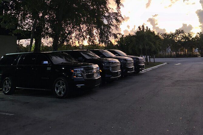 Private Punta Cana Airport Transfers Hotels in Dominican Republic - Who Is This Service Best For?