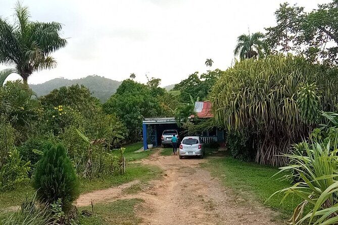 Private Punta Cana Beyond-the-Resort Local Life Tour - Cacao, Coffee, and Tropical Fruits at a Local Home