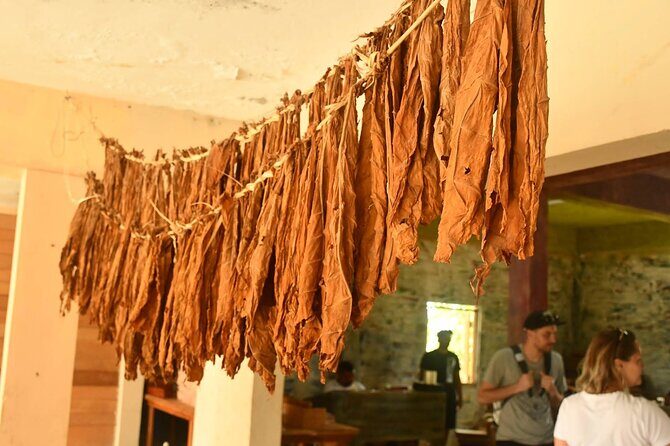 Private Punta Cana Beyond-the-Resort Local Life Tour - Exploring Higüey: Cathedral and Local Market