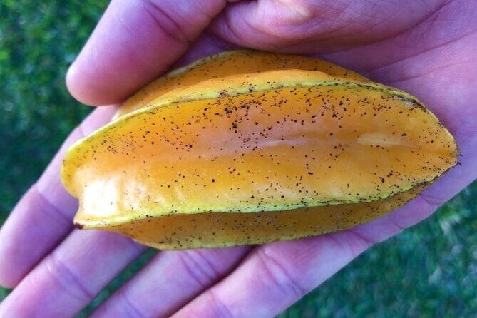 Private Punta Cana Beyond-the-Resort Local Life Tour - Final Stop at the Marketplace