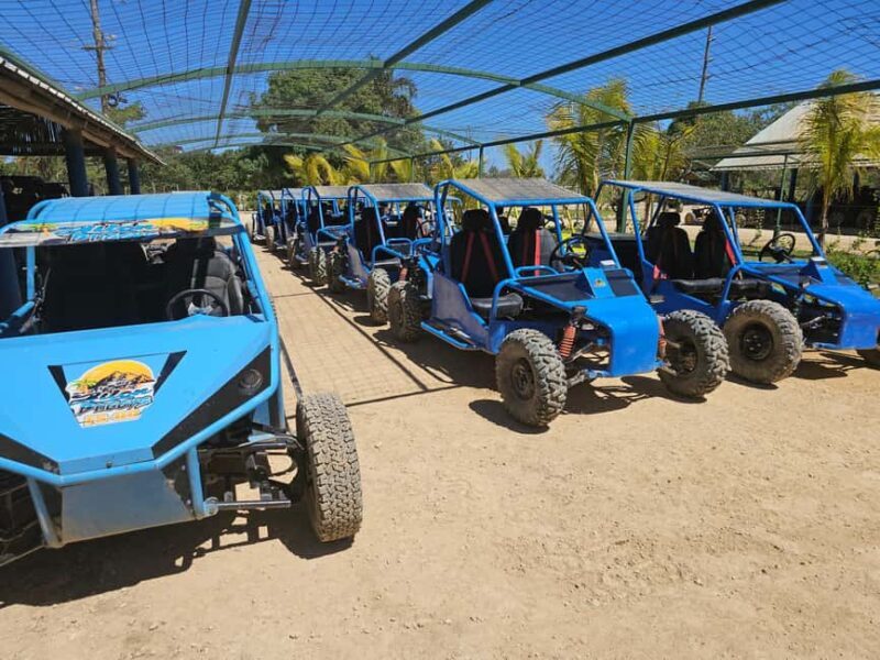 Private: Punta Cana Boogie Boarding & Parasailing Adventure - Final Thoughts: Who Should Consider This Tour?