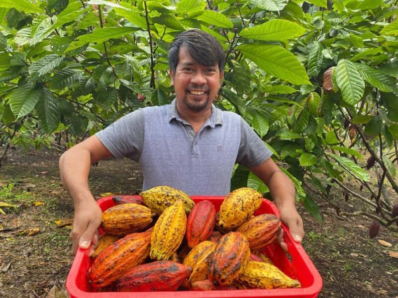 Private: Punta Cana: Buggy Tour with Cenote Swim & Macao - Who Should Consider This Tour?  