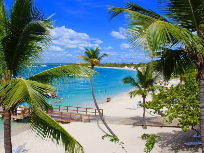 Private: Punta Cana to Catalina: Snorkeling, Beach & Buffet - Authenticity and Local Flavor