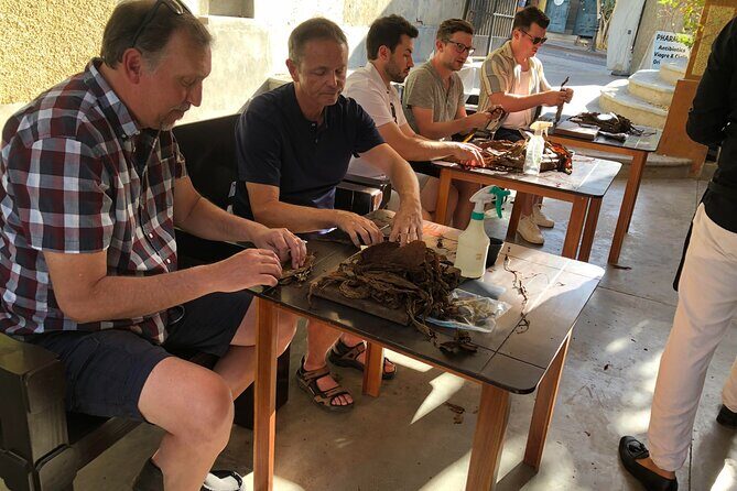 Private Puro Cigar Creation Workshop in Los Cabos - The Final Product and Takeaways