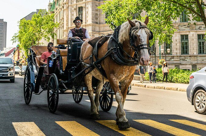 Private Québec City Highlights 3 Hour Walking Tour - The Sum Up