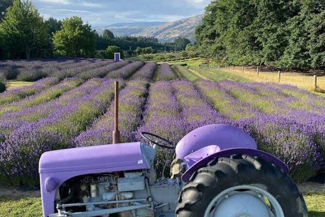 Private Queenstown and Wanaka City Day Tour - Who Will Love This Tour?