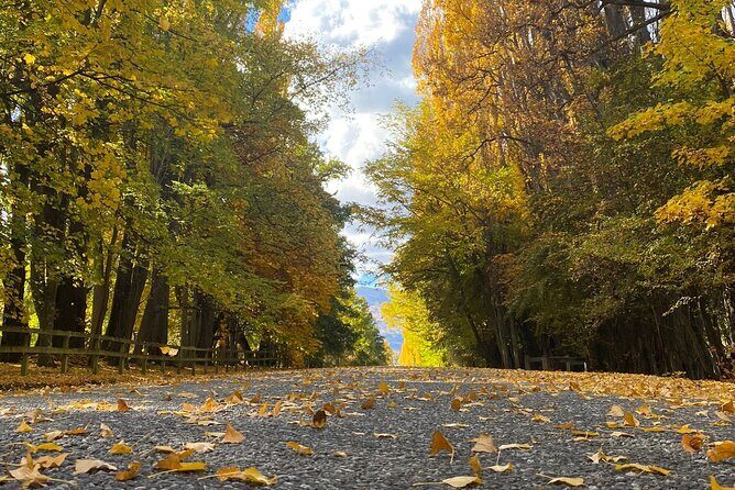 Private Queenstown and Wanaka City Day Tour - FAQ