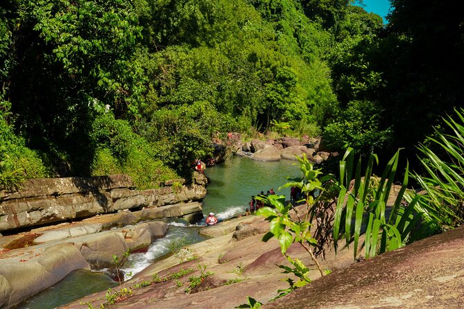 Private Rainforest Waterfall Escape Local Foods and Beach Tour - Scenic Waterfalls and Beaches