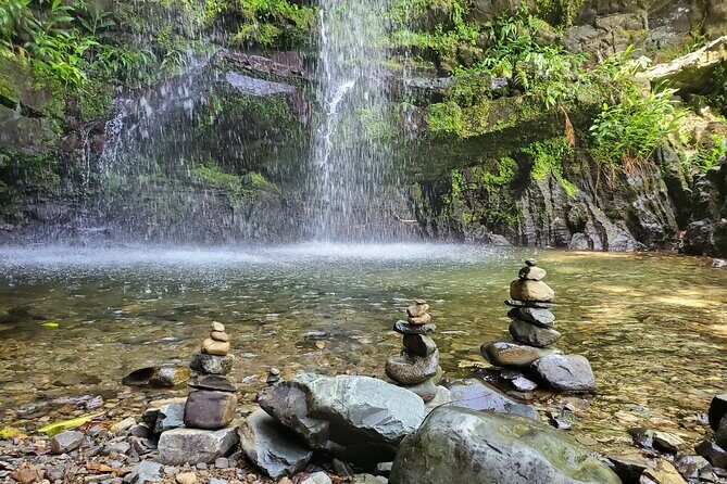 Private Rainforest Waterfalls and Beach Hiking Tour from San Juan - Analyzing the Value