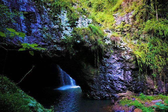 Private Rainforest & Wildlife Tour - Build Your Own Experience - Practical Details: What You Need to Know