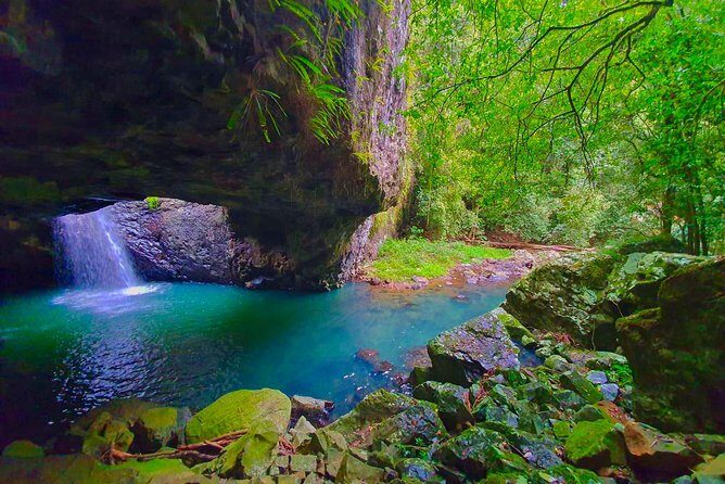 Private Rainforest & Wildlife Tour - Build Your Own Experience - Frequently Asked Questions