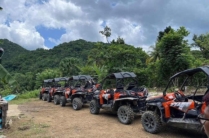 Private Rasta Safari Cultural UTV Village Experience - Cultural & Local Interactions