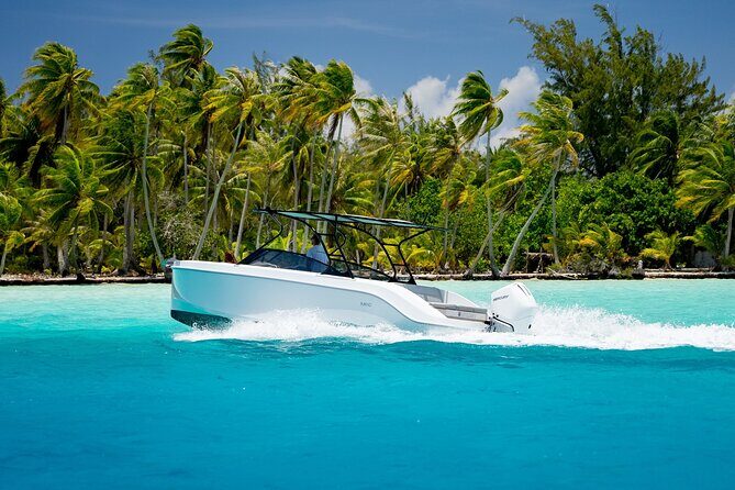 Private Reef Discovery Luxury Motu Lunch Cruise in Bora Bora - Key Points