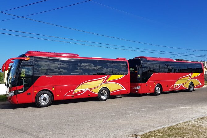 Private Reggae Sumfest Round Trip Transportation - Key Points