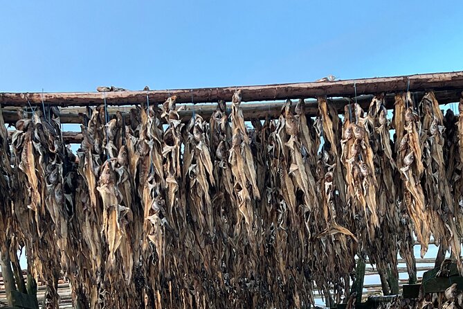 Private Reykjanes Peninsula Guided Tour - Customized Experience