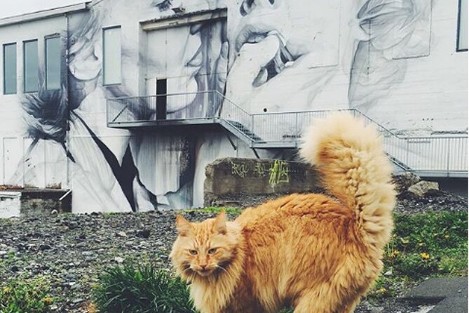 Private Reykjavik Cat Walking Tour - Pricing and Cancellation