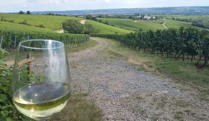 Private Rhine Valley Tour With River Cruise & Wine Tasting - Transportation and Comfort