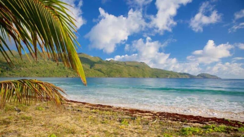 Private Rincón Beach & Bacardi Island from Punta Cana - An In-Depth Look at the Experience