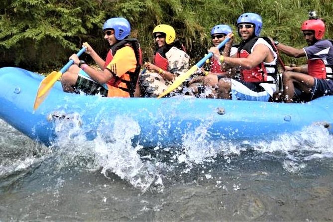 Private Rio Bueno River Adventure From Montego Bay - Meeting and Pickup