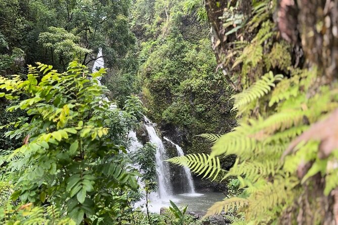 Private Road to Hana Maui Open-Air Jeep Tour - Meeting and Pickup