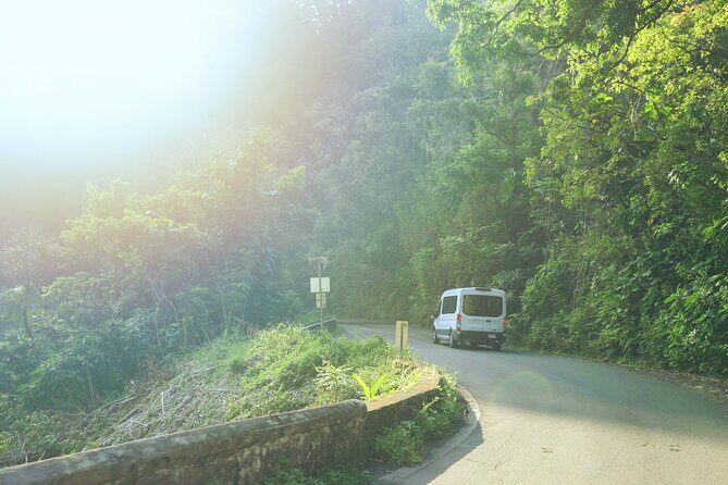 Private Road to Hana Rainforest & Waterfall Experience from Maui - Who Should Consider This Tour?