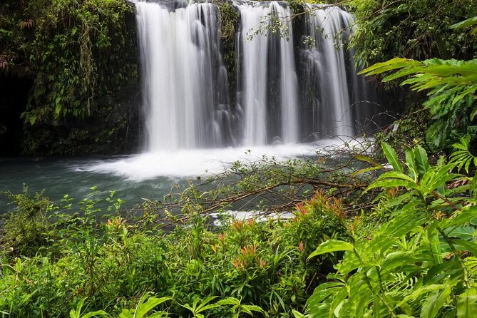 Private Road to Hana Rainforest & Waterfall Experience From Maui - Good To Know
