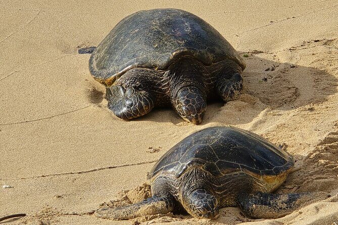 Private Road to Hana Tour with Pickup-Ultimate Package, Backside - Key Points