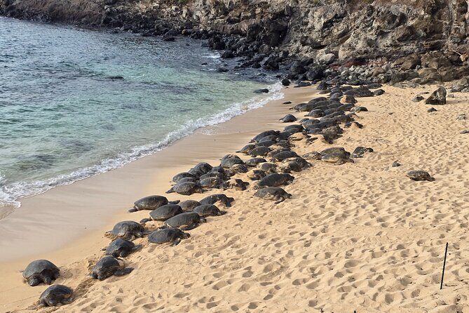 Private Road to Hana Tour with Pickup-Ultimate Package, Backside - FAQ