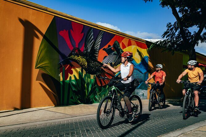 Private Road to San Nicolas Culture Heritage by E-Bike Aruba - A Detailed Look at the San Nicolas E-Bike Experience