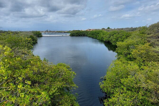 Private Road to San Nicolas Culture Heritage by E-Bike Aruba - Frequently Asked Questions