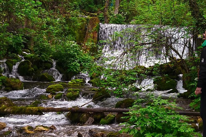 Private Road Trip From Belgrade to Mountain Tara - Tara National Park Highlights