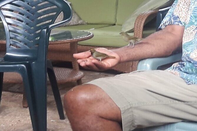 Private Rockland Bird Sanctuary Tour from Falmouth - The Sum Up