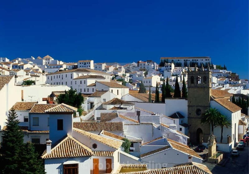 Private Ronda Day Trip Tour from Sevile - Key Points
