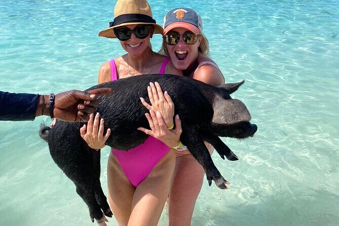 Private Rose Island, Swimming Pigs, Snorkeling and Turtles - A Closer Look at the Experience