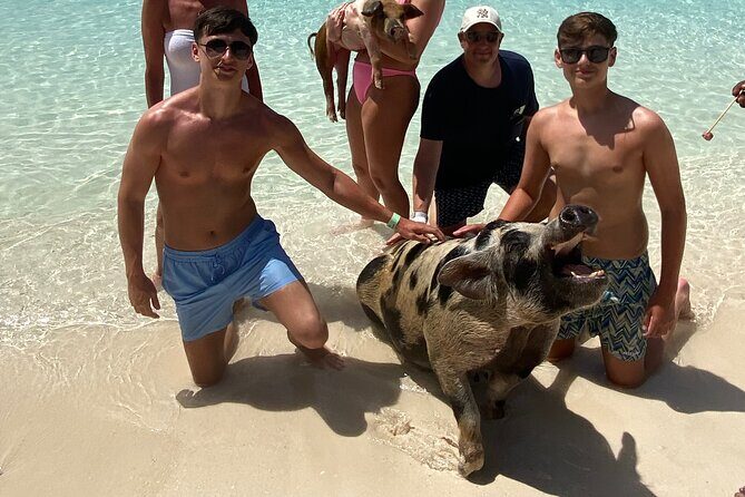 Private Rose Island Tours - The Itinerary in Detail