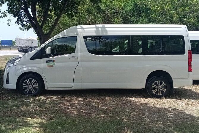 Private Roud-Trip Punta Cana Airport, to Punta Cana Hotels - The Details of the Service