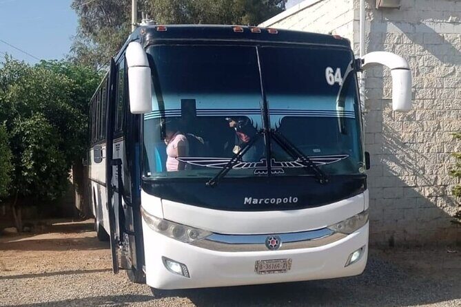 Private Round Transportation from Tijuana to Valle de Guadalupe - An In-Depth Look at the Private Transportation Experience