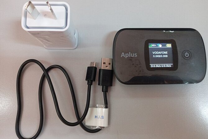 Private Round-trip Nadi Airport to Hotels+Unlimited Data Pocket Wi-Fi rental - What Does the Transfer Include?