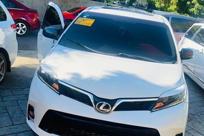 Private Round Trip Punta Cana Airport Hotel/Villa Transfer - Who Will Love This Service?