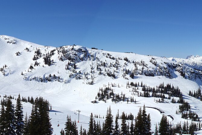Private Round Trip Richmond BC To/From Whistler - Accessibility and Participation
